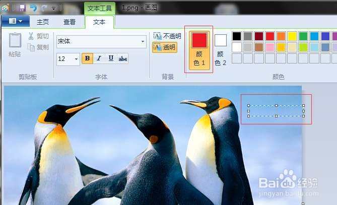 如何给图片加文字