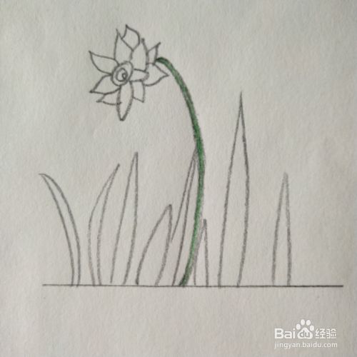 简单水草花教程 百度经验