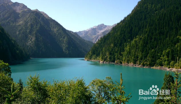 如何提高表达能力?