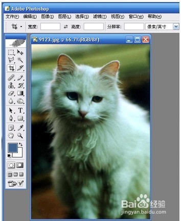 photoshop修正色温高照片技巧
