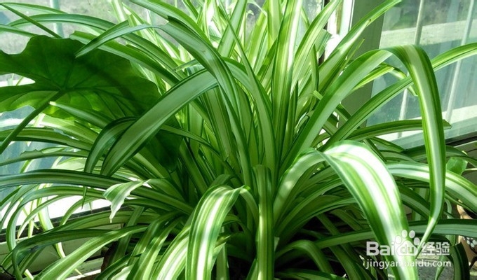 冬季怎么不让自己感冒